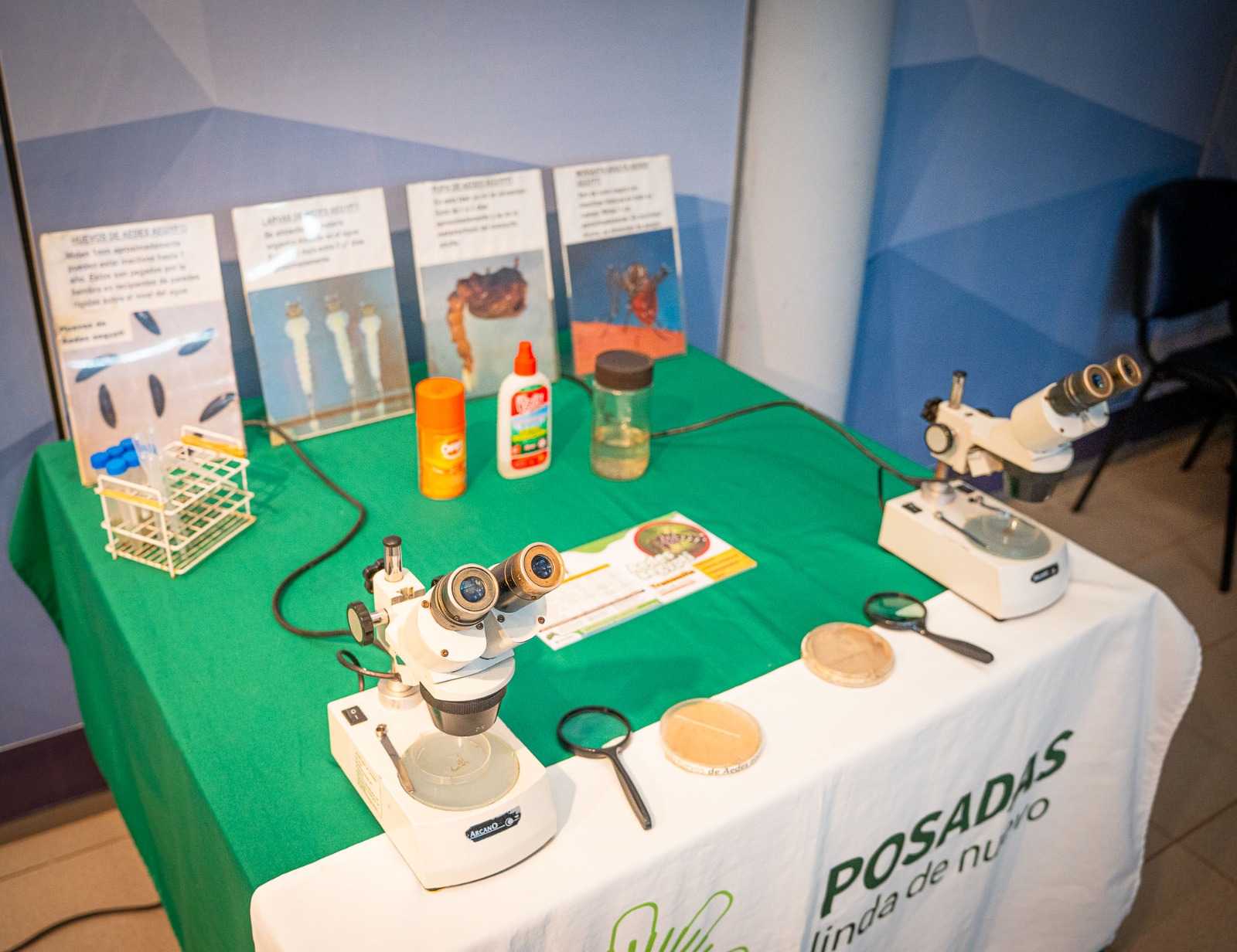 <p>Posadas inició una nueva capacitación docente sobre el Aedes aegypti</p>